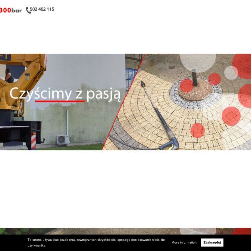 Mycie ogrodzeń wielkopolska