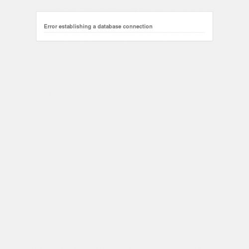 Sesja biznesowa w plenerze w Warszawie