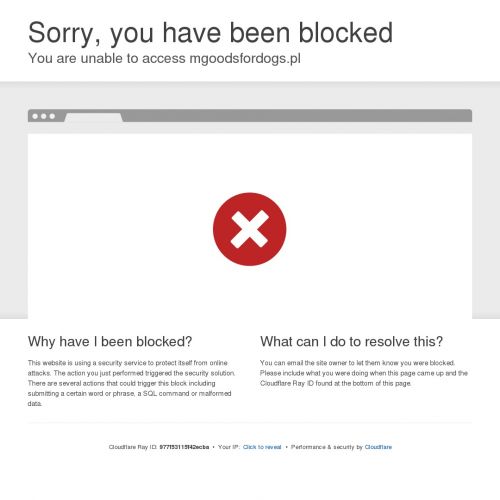 Obroża skórzana dla dużego psa