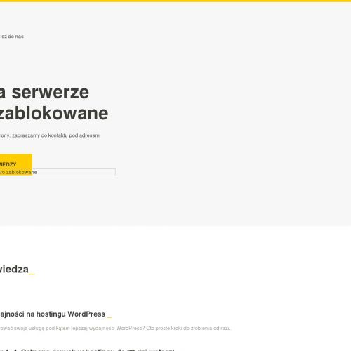 Odplamiacz w płynie
